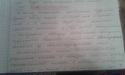 1)значение ротового отверстия в гидре 2)значение эктодерма в гидре 3)значение энтодерма в гидре