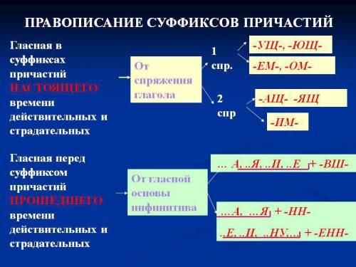 Проверь себя! научились ли вы узнавать причастия? в забавных школьных приметах и гадалках найдите вс