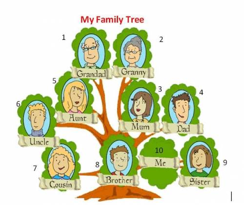 My family tree.изобрази родословное дерево своей семьи.напиши по то,что можешь о них сообщить,наприм