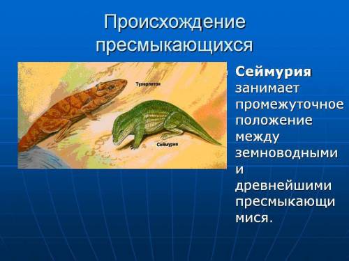 1).объясни, что изучают следующие учёные , археолог,палеонтолог. 2). примеры древних обитателей земл