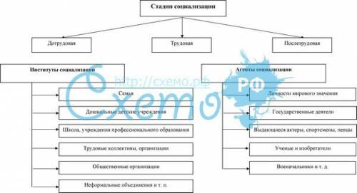 Составьте схему этапы социализации человека