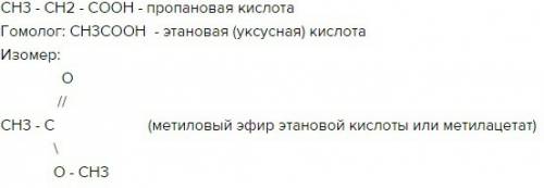 Составьте структурные формулы одного изомера и одного гомолога пропановой кислоты. назовите все веще