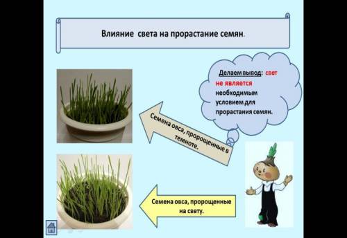 Проведите дома сомостоятельно опыт доказывающий влияние света на прорастание семян отметьте в рабоче