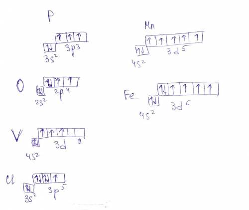1.составьте графические схемы заполнения электронами валентных орбиталей этих атомов. 1s2 s2 2p4,1s2
