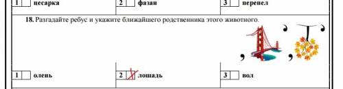 Окружающий мир 3 класс разгадайте ребус и укажите ближайшего родственника этого животного олень лоша