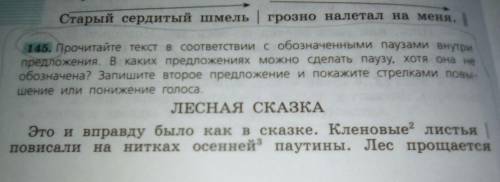 Прочитайте текст в соответствии с обозначенными паузами внутри предложения.в каких предложениях можн