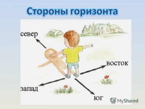 Зарисовать положения солнца относительно выбранного ориентира на протяжении четырех днец