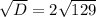 \sqrt{D}=2\sqrt{129}