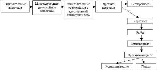 Составте схему схема представление о развитии жизни на земле по биологии