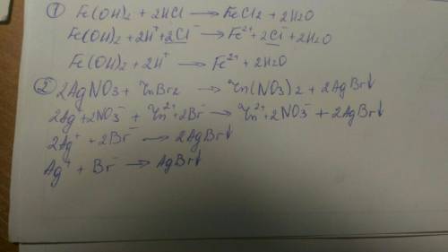 Напишите уравнение реакции ионного обмена в молекулярной и ионных формах; fe(oh)2+hcl ; нитрат сереб