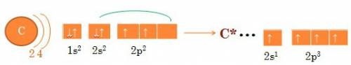 Электронная конфигурация электронного слоям атома углерода возбуждения состояния