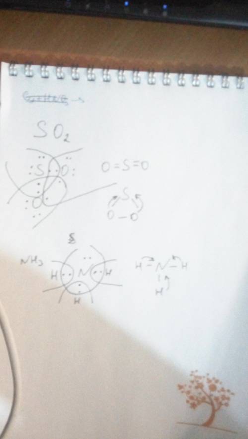 Составте схемы образования связи для so2 nh3