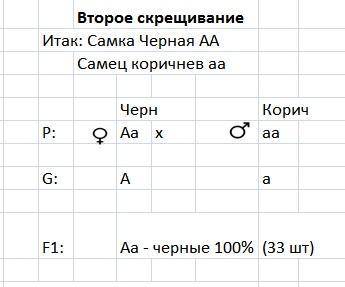 Дві чорні самки миші схрещувалися з коричневим самцем. одна самка в кілька приплодів дала 20 чорних