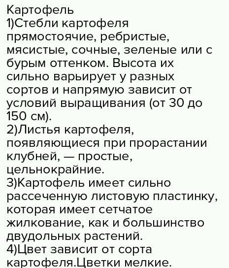 Сравни растения, опиши картофель по плану. 1. как называется это растение? 2. как выглядит его стебе