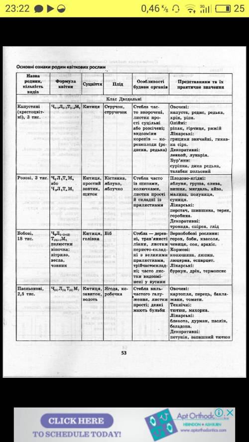 Охарактерных признаков растений семейства крестоцветных