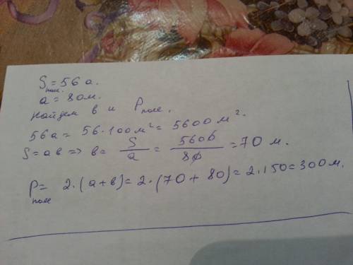 Прямокутника форми має площу 56 а, його довжина 80 метрів.обчисліть периметр поля
