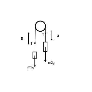 Через неподвижный лёгкий блок перекинута невесомая нерастяжимая нить, к концам которой подвешены два