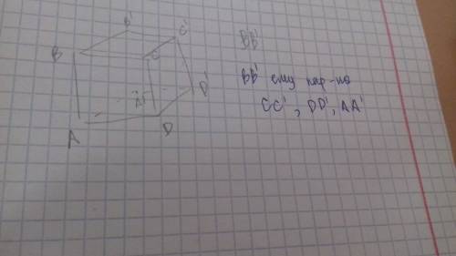 Постройте куб авсда'в'с'д. назовите рёбра, параллельные ребру вв'.