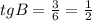 tgB=\frac{3}{6} =\frac{1}{2}