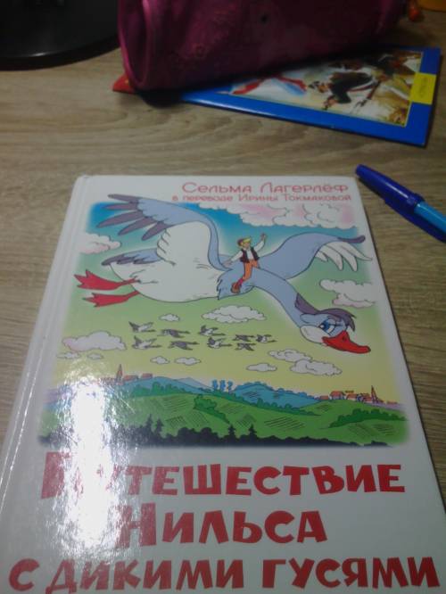 Харистиристика героя нильса сказка называется ,,необыкновенные приключения нильса с дикими гусями