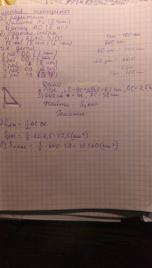 10 ! вычислите площадь прямоугольного треугольника,катеты которого: а) 62см и 25 мм; б) 64 дм и 58 с