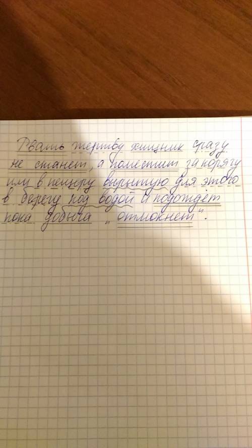 Рвать жертву хищник сразу не станет, а поместит за корягу или в пещеру, вырытую для этого в берегу п