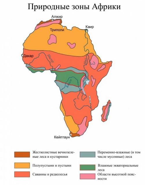 Отправьте природные зоны африке таблица