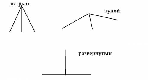 Начертите 2 угла с общей стороной так, чтобы вместе они имели: 1. развернутый угол. 2. тупой угол. 3