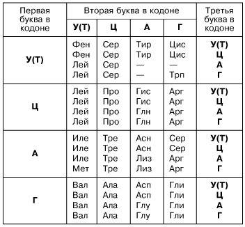 Определите последовательность аминокислот фрагмента белковой молекулы, если соответствующий участок