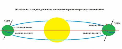 Вкакое время года солнце поднимается над горизонтом ниже и выше?