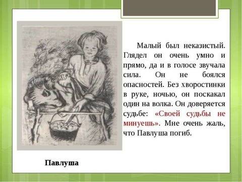 Нужно написать сочинение на тему: почему умер главный герой павлуша из рассказа бежин луг 6 клас