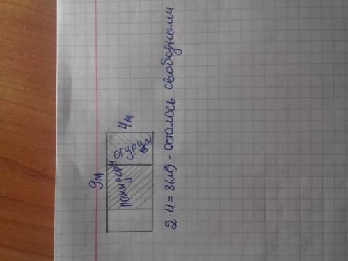 Начерти план участка прямоугольной формы со сторонами 4 м и 9 м, изображая 1м однной клеткой. покажи