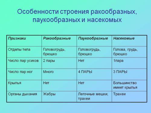 Таблица по биологии про ракообразные паукообразные насекомые