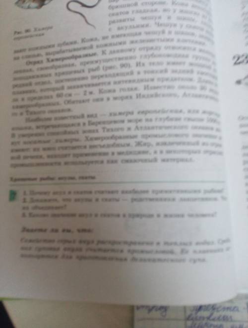 Напишите сочинение на тему 'что такое профессия? ' 2 примера-аргумента)