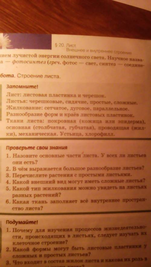 Словарь по биологии по 20§ за 6 класс