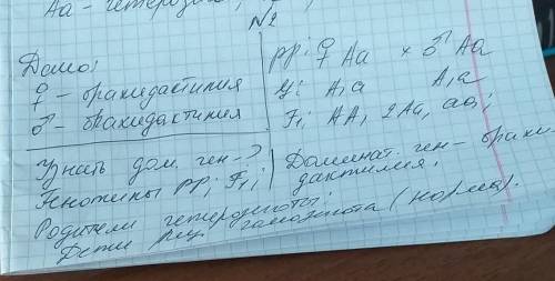 Уродителей с брахидактилией (короткопалость)родился нормальный ребёнок. определить, какой ген являет