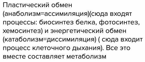 Какие процессы свойственны метаболизму?