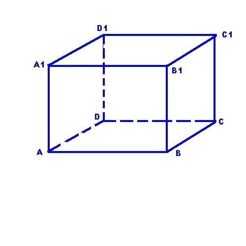 Постройте куб авсd a1b1c1d1 каково взаимное рассположение прямых аа1 и сс1