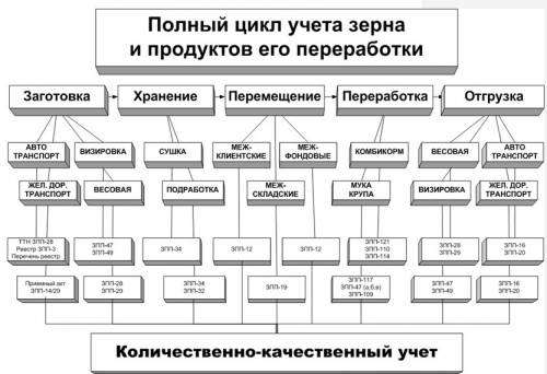 Оформление поступления и приёмки зерна зернопродуктов на предприятиях.