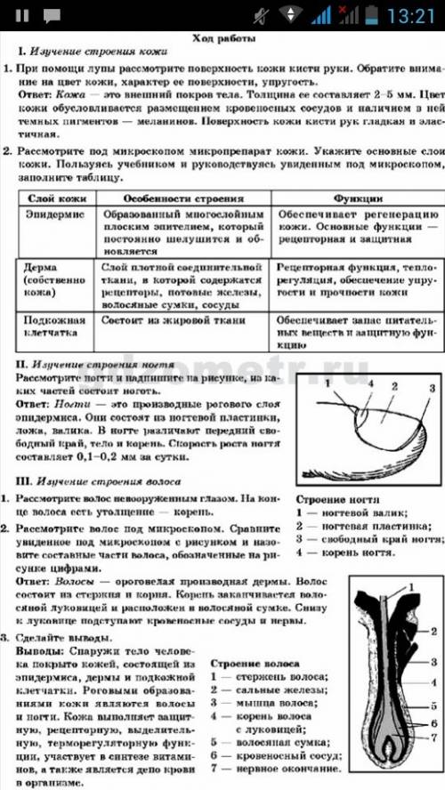 Готовая лабораторная работа номер 5 по биологии за 9 класс