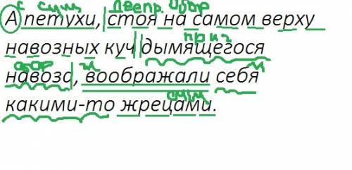 Синтаксический разбор предложения: а петухи, стоя на самом верху навозных куч дымящегося навоза, воо