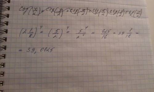 Выполните возведение в степень: (2 1/2)^4