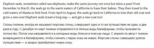 Portfolio write about an elephant seals journey переведите