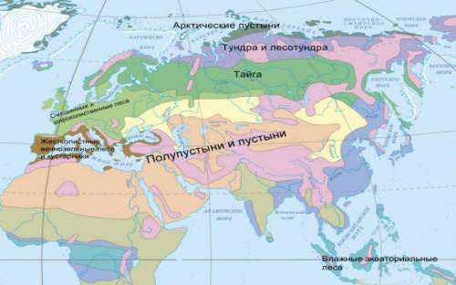 Характеристика природной зоны арктика арктические пустыни.1 графическое положение 2 типичный внешний