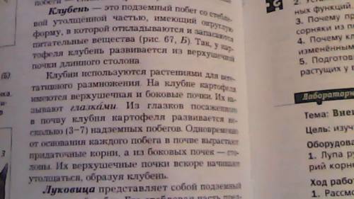 Какие из перечисленных частей растений, используемых для питания человеком, не являются ? кочан капу