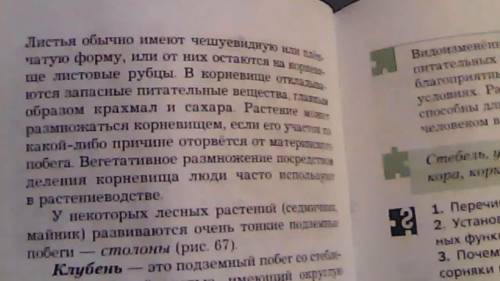 Какие из перечисленных частей растений, используемых для питания человеком, не являются ? кочан капу