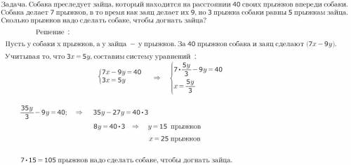 Собака преследует зайца, который находится на расстоянии 40 своих прыжков впереди собаки. собака дел