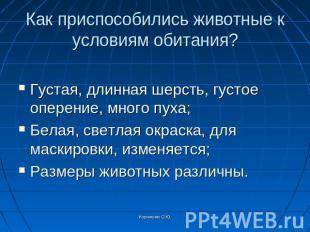 Какие при имеют животные для существования в разных климатических у условиях