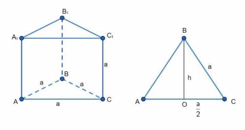 Длины всех ребер прямой треугольной призмы равны. вычислите обьем призмы, если периметр ее боковой г