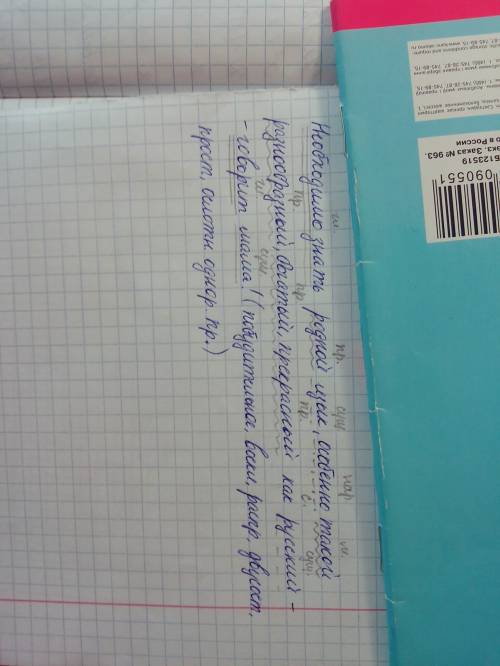 Сделать синтаксический разбор предл. необходимо отлично знать родной язык, особенно такой разнообраз